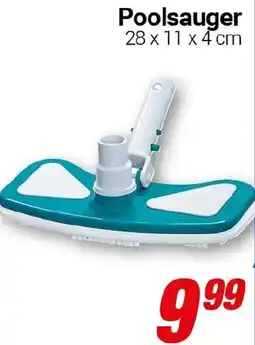CENTERSHOP Poolsauger Angebot