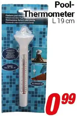 CENTERSHOP Pool-Thermometer Angebot