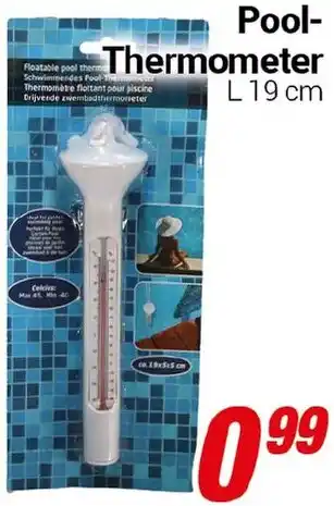 CENTERSHOP Pool-Thermometer Angebot