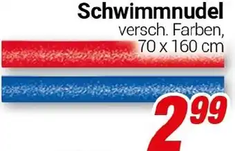 CENTERSHOP Schwimmnudel Angebot