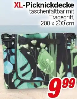 CENTERSHOP XL-Picknickdecke Angebot