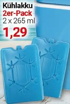 CENTERSHOP Kühlakku 2er-Pack Angebot