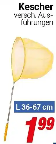 CENTERSHOP Kescher Angebot