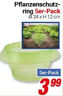 CENTERSHOP Pflanzenschutzring 5er-Pack Angebot