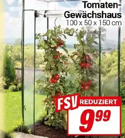 CENTERSHOP Tomaten-Gewächshaus Angebot