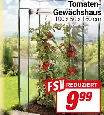 CENTERSHOP Tomaten-Gewächshaus Angebot