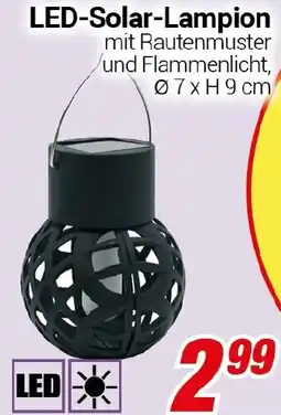 CENTERSHOP LED-Solar-Lampion Angebot