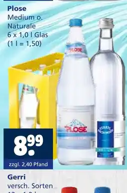Getränkewelt Plose mineralwasser Angebot