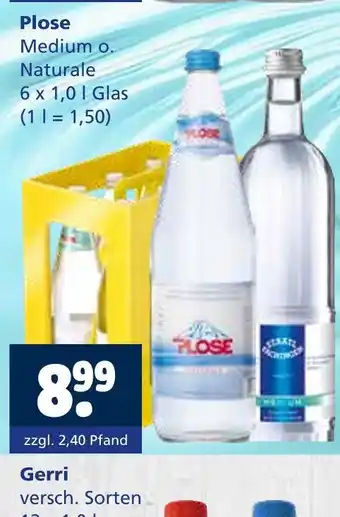 Getränkewelt Plose mineralwasser Angebot