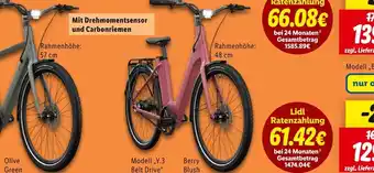 Lidl Olive green fahrrad Angebot