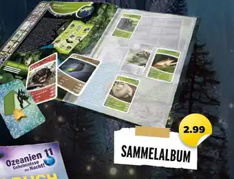 NETTO Sammelalbum Angebot