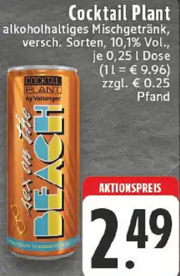 Edeka Cocktail Plant Angebot