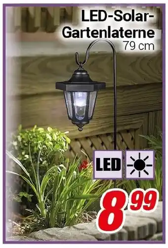 CENTERSHOP LED-Solar Gartenlaterne Angebot