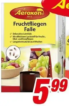 CENTERSHOP Aeroxon Fruchtfliegen Falle Angebot