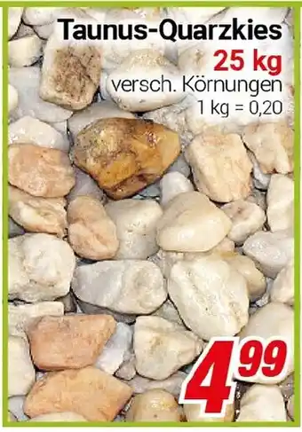 CENTERSHOP Taunus-Quarzkies Angebot