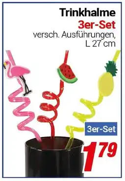 CENTERSHOP Trinkhalme 3er-Set Angebot