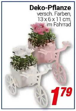 CENTERSHOP Deko-Pflanze Angebot
