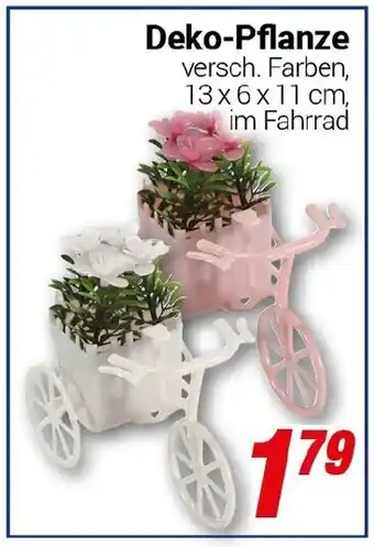 CENTERSHOP Deko-Pflanze Angebot