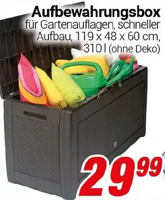 CENTERSHOP Aufbewahrungsbox Angebot