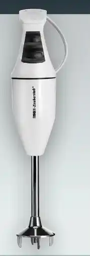 Handelshof Esge Zauberstab Stabmixer M 100 S Angebot