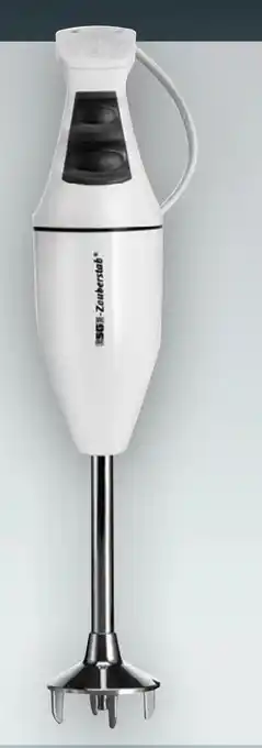 Handelshof Esge Zauberstab Stabmixer M 100 S Angebot