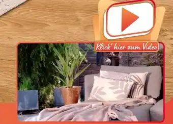Woolworth Action 11 Angebot