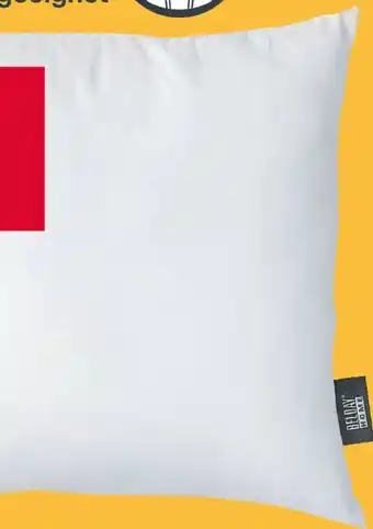 Woolworth Belday Home Microfaser-Kopfkissen Angebot