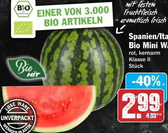 HIT Spanien/Italien Bio Mini Wassermelone Angebot