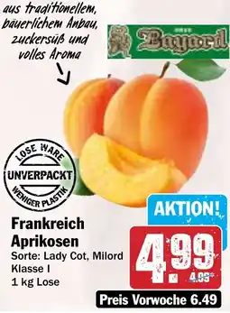 HIT Frankreich Aprikosen Angebot