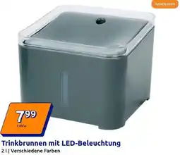 Action Trinkbrunnen mit LED-Beleuchtung Angebot