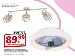 Segmüller Deckenventilator joey Angebot