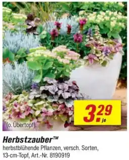 toom Baumarkt Herbstzauber Angebot