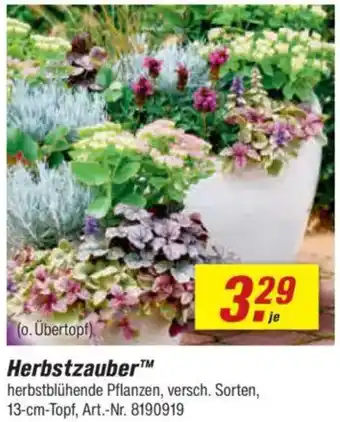 toom Baumarkt Herbstzauber Angebot