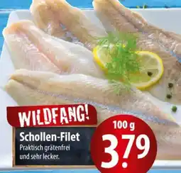 Famila Nord Ost Schollen-Filet Angebot