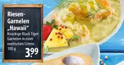 Famila Nord Ost Riesen Garnelen ,,Hawaii" Angebot