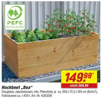 toom Baumarkt Hochbeet „Bea" Angebot