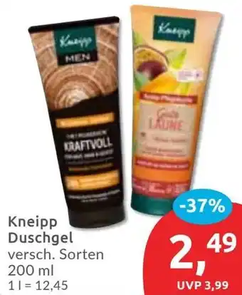Budni Kneipp Duschgel Angebot