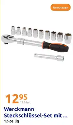 Action Werckmann steckschlüssel-set Angebot