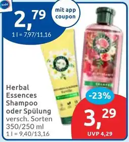 Budni Herbal Essences Shampoo oder Spülung Angebot