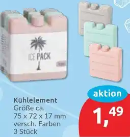 Budni Kühlelement Angebot