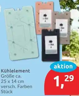 Budni Kühlelement Angebot