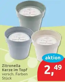 Budni Zitronella Kerze im Topf Angebot