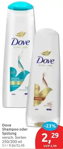 Budni Dove Shampoo oder Spülung Angebot