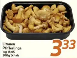 inkoop Litauen Pfifferlinge Angebot