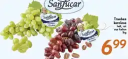 inkoop SanLucar Trauben kernlose Angebot