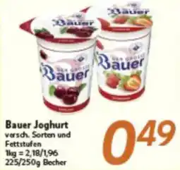 inkoop Bauer Joghurt Angebot