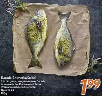 inkoop Dorade Rosmarin/Salbei Angebot