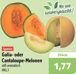 Aktiv Irma Galia- oder Cantaloupe-Melonen Angebot