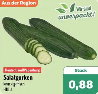 Aktiv Irma Salatgurken Angebot