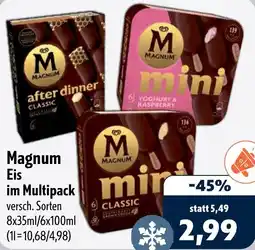Aktiv Irma Magnum Eis im Multipack Angebot